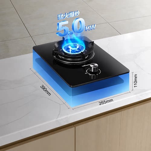 万和燃气灶单灶煤气灶天然气灶家用5.0KW火力单灶头E6L90租房必备