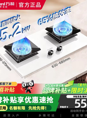 万和白露C5L90W(Z1)白晶面板天然气燃气灶5.2kW嵌入式家用双炉