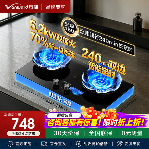 万和B9DS双定时天然气燃气灶煤气灶家用双灶官方液化气灶台嵌入式