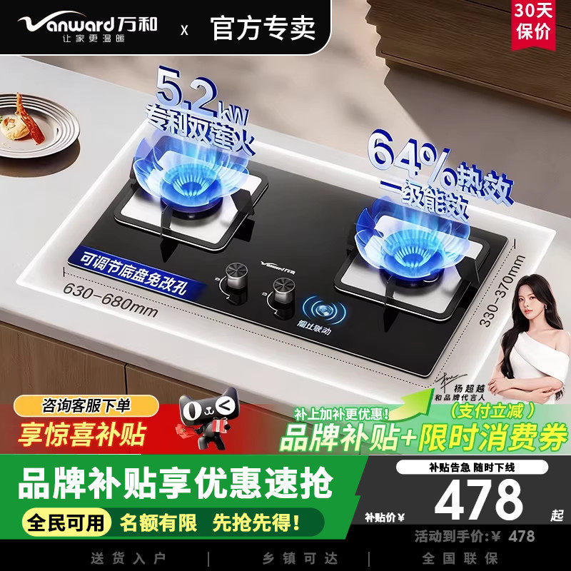 万和B9L50燃气灶5.2KW蓝莲花猛火钢化玻璃嵌入式双灶天然气家用