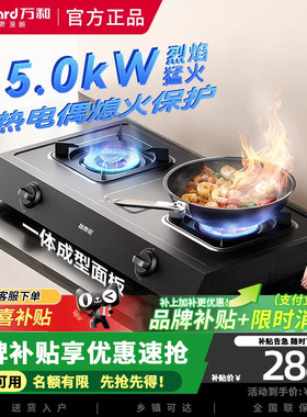 万和梅赛思台式燃气灶5.2KW双灶天然气液化气家用台式MB08-D9