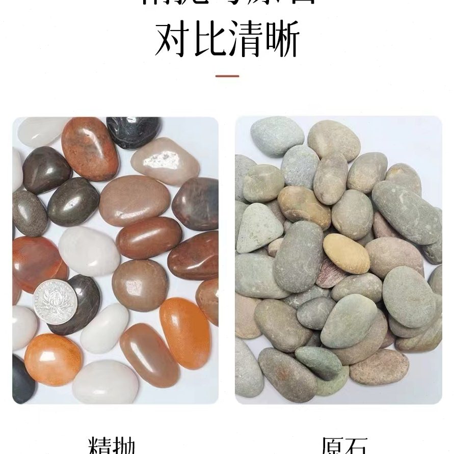 广东五彩鹅卵石装饰园林石 天然石 水培石头地板缝隙搭配