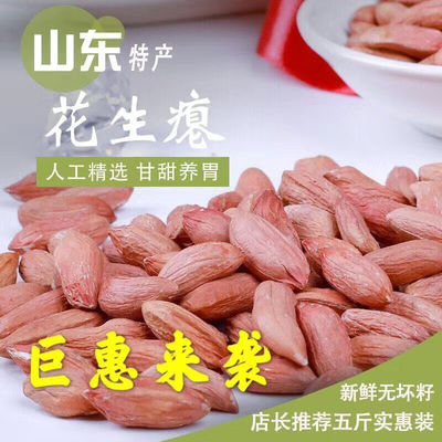 小瘪花生米小花生小瘪子生吃新鲜