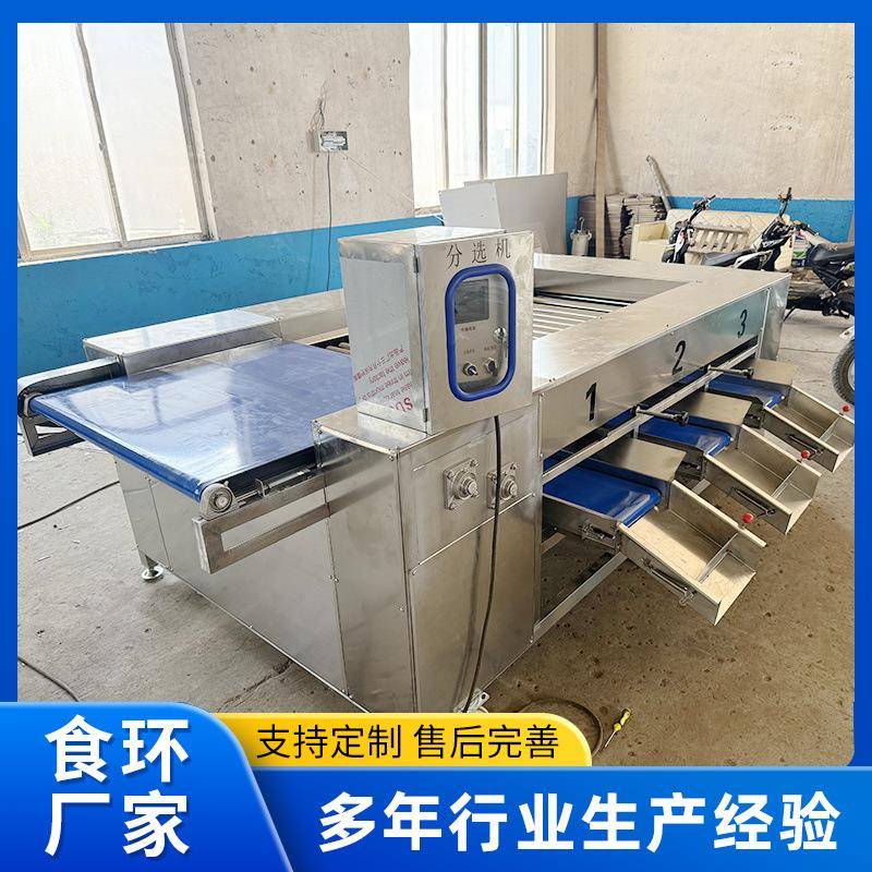 滚杠分选机工业土豆滚杠式筛选机不锈钢滚杠芋头石榴分级机