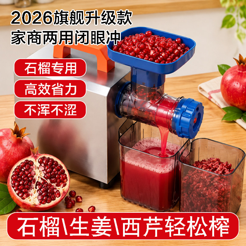 电动生姜专用榨汁机小型家用不锈钢渣汁分离原汁机石榴西芹刺梨