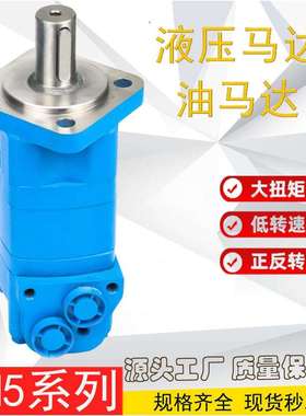力顿液压马达2Y-305/80100125165BM5、2Y、2K、BMS低速大扭矩摆线