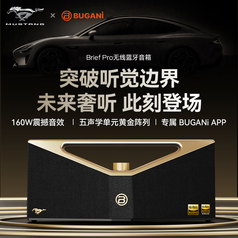 BUGANi布迦尼 Brief Pro便携式户外广场舞音响户外低音炮超大功率