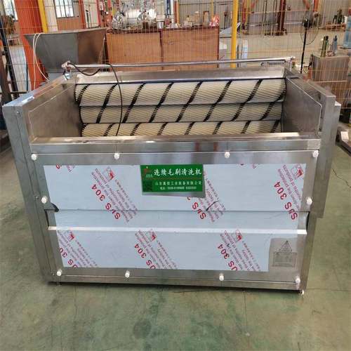 全自动龙虾喷淋清洗机海蛎子花嘎毛刷清洗机海参鲍鱼气泡清洗设备