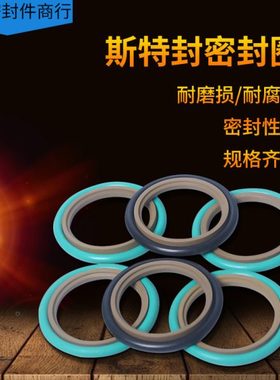 轴用斯特封 STd160*175.5/181*6.3/8.1 170*185.5*6.3