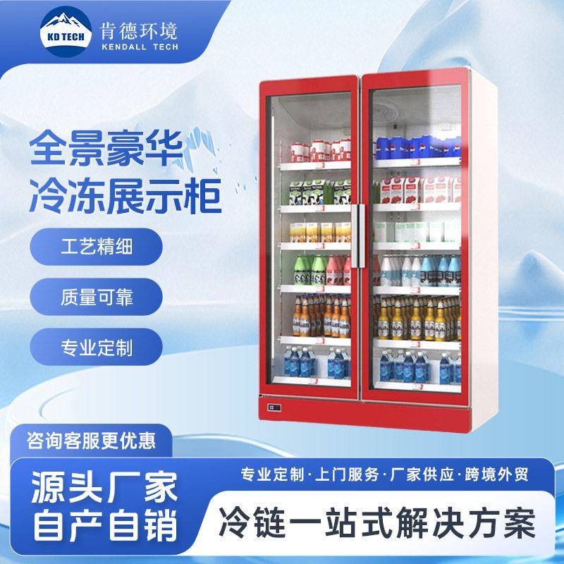 双门冷柜商超酒水饮料立式保鲜冷冻柜多规格便利店展示冰柜定制