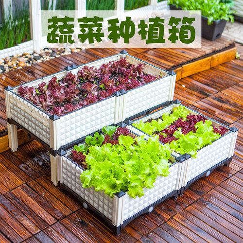阳台蔬菜种植箱种菜神器种菜盆特大花箱塑料花盆长条方形花槽户外