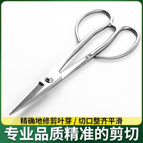 家用叶芽剪刀园艺盆景专用工具盆栽修枝剪花艺剪小枝专业插花剪子