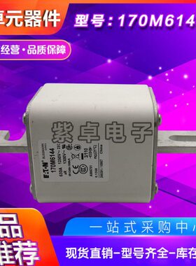 170M6017 170M6018 170M6019 170M6020 170M6021伊顿巴斯曼保险丝