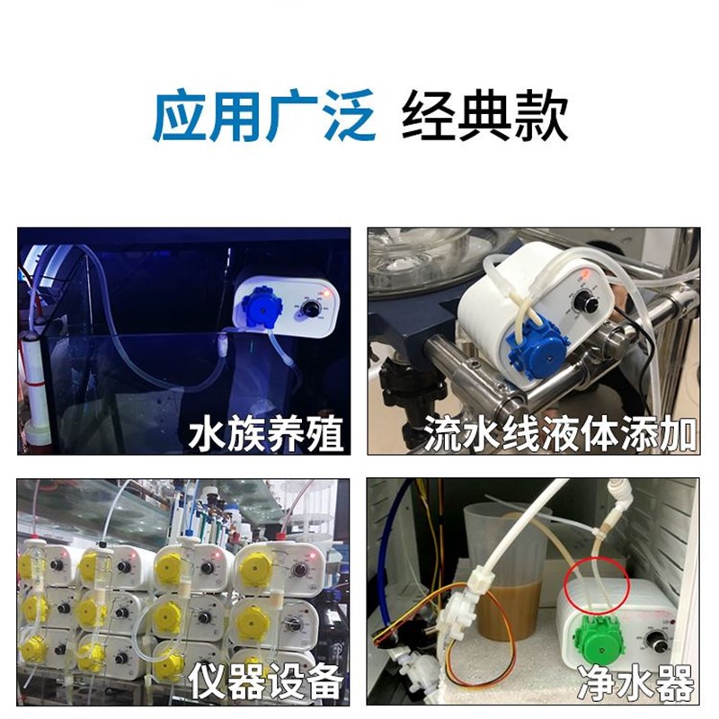Z655b蠕动泵实验室滴定循环抽水泵小型家用直流电动小泵卡默尔微