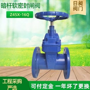 Z45X弹性座封法兰闸阀暗杆铸铁闸阀 大口径电动软密封闸阀DN100