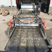 蔬菜涡流清洗机 小型蔬菜气泡清洗机 净菜加工漩涡清洗机设备