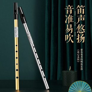 爱尔兰哨笛初学者竖笛锡笛C调D调笛子专业演奏音直笛乐器学生用