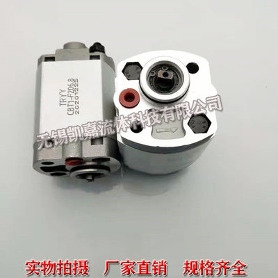 TRYY液压油泵CBT1-F206.8