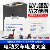 中力小金刚堆高机电池中力电动堆高机蓄电池电动搬运车地牛堆高车