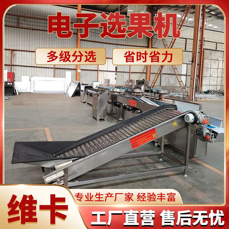 百香果选果机 快速分选误差小 柑橘蜜柚自动分选机 芒果分拣机