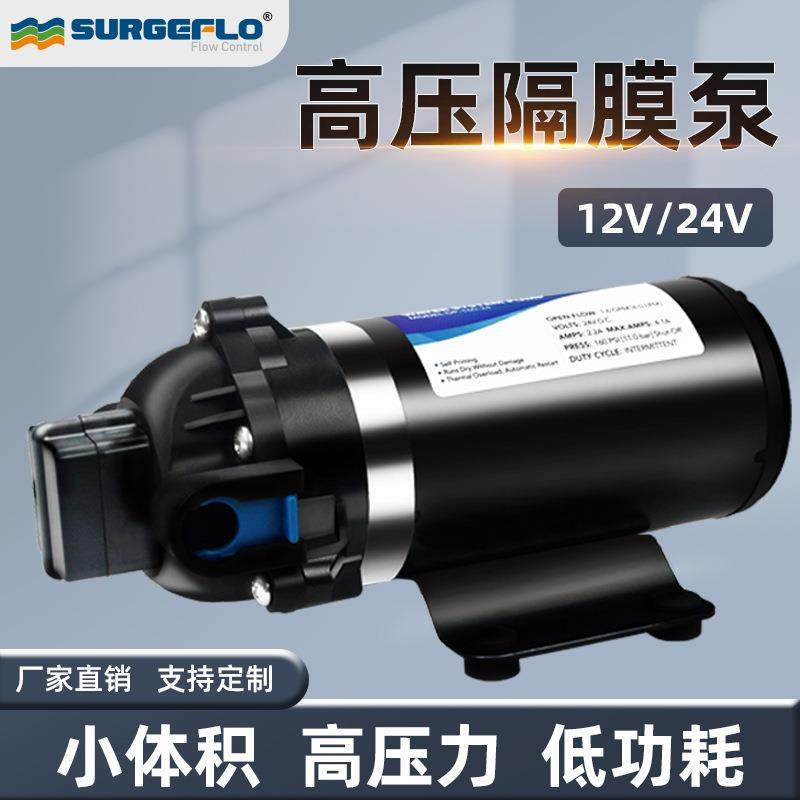 DP-160高压力隔膜泵12v24v小型农药喷雾净水器压路机地暖清洗车泵