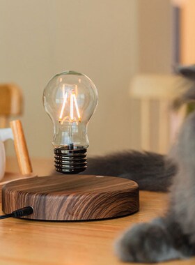 磁悬浮灯泡创意小夜灯桌面摆件发光可旋转卧室台灯男朋友生日礼物