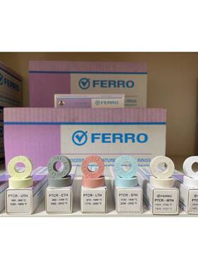 高档FER0R测温温环德国原O装进口窑炉专用校检测测温仪560度到175