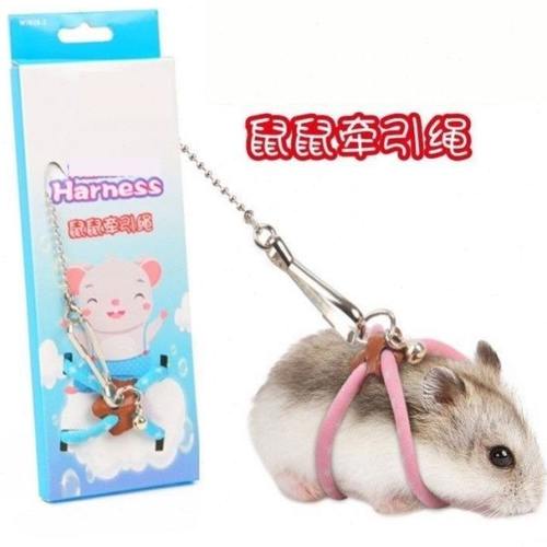 仓鼠外出牵引绳仓鼠牵引绳遛鼠绳熊仔金丝熊外出牵引带仓鼠互动解