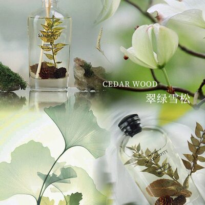 BOTANICA花草精油香薰礼盒家用卧室房间无火藤条玫瑰香氛生日礼物