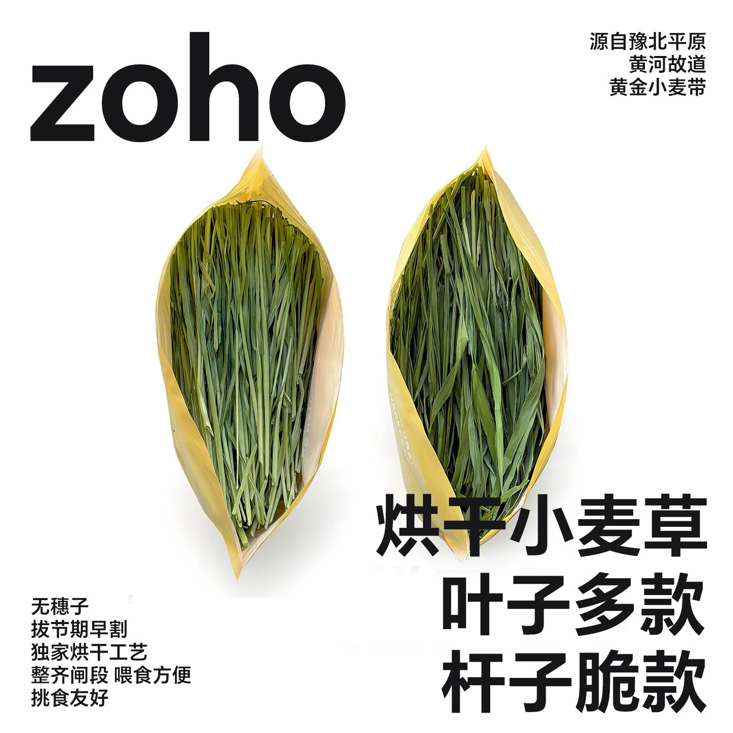 zoho无穗烘干小麦草兔子龙猫豚鼠牧草整齐闸段小麦苗干草饲料用品