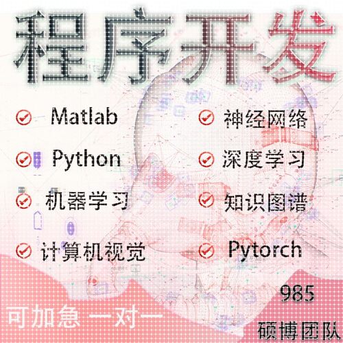 python代码编程matlab帮做算法优化复现深度强化学习创新路径规划