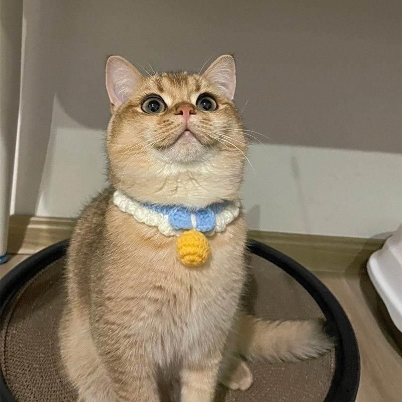 猫咪项圈无声铃铛可调节狗狗小型犬手工针织围脖英短美短宠物脖圈,橡塑材料及制品,其他塑料制品,淘宝优惠券,粉丝福利购,淘宝优惠卷