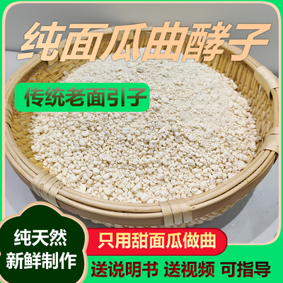 曲头酵子老面引子传统酵母粉半斤