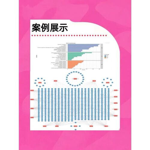 火山气泡柱状GSEA曲线图生信分析作绘图定制数据报告科研文章制图