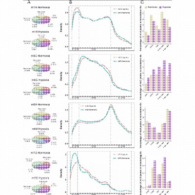 深度学习/机器学习/python/图像识别/自然语言/机器人彷真/matlab
