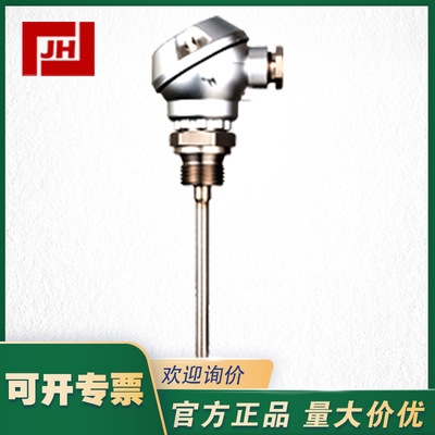 JUMO久茂温度探头902030/10拧入式热电阻