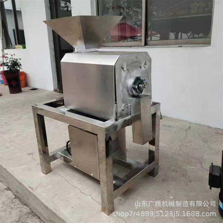 橘子香蕉剥皮打浆机工业柑橘桂圆黄皮果脱核机大型去核打浆设备