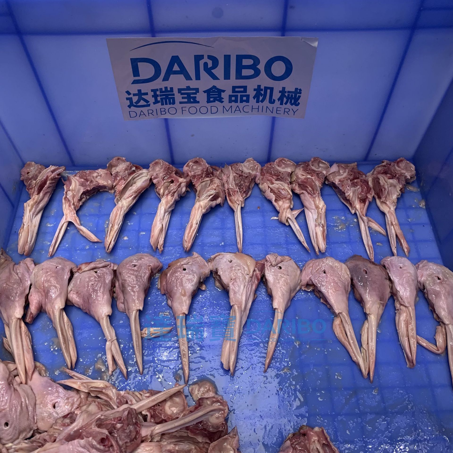 W鹅头鸭头切半机器 多功能鸡爪猪喉骨开半机 厂家直销凤爪分半机