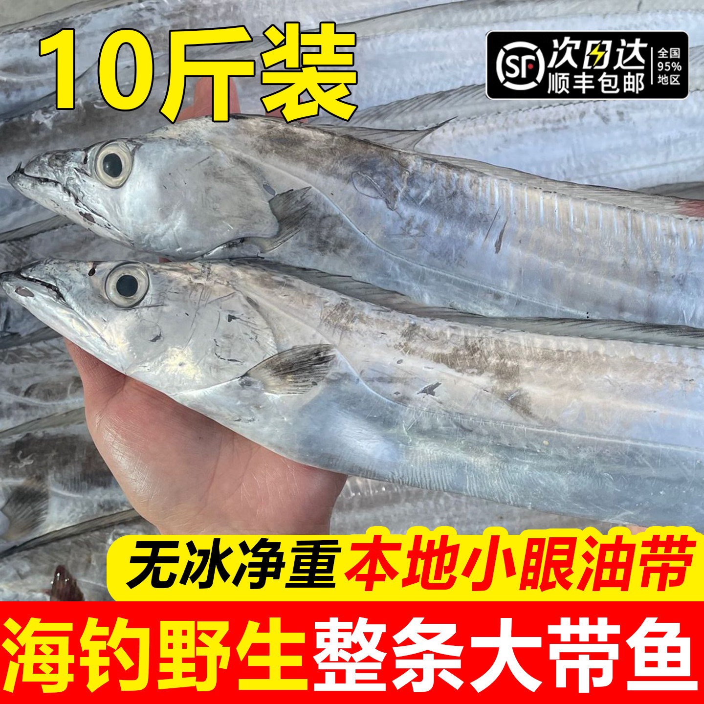 带鱼整箱10斤新鲜冷冻刀鱼钓带带鱼