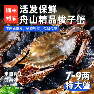 现货活发舟山梭子蟹活螃蟹包肥新鲜海蟹公母蟹顺丰飞蟹保鲜不保活