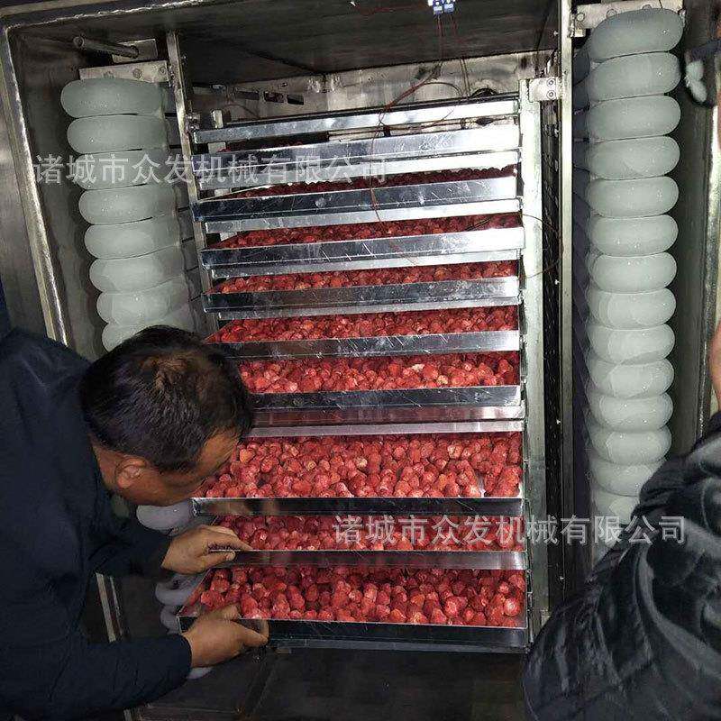 热带水果低温冻干机芒果真空冷冻干燥设备食品10平方冻干机器