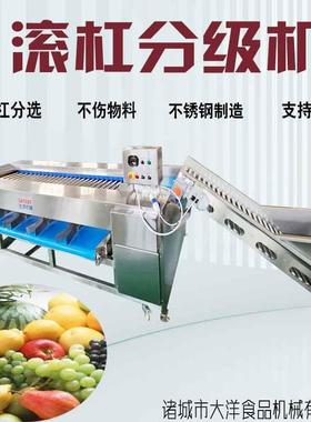 机械红薯分级机不锈钢材质高产高效率输送式果蔬分级筛选设备