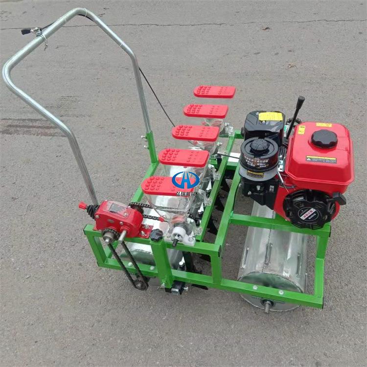 汽油机自走式播种机白菜娃娃菜青菜精量播种机株距行距可调节