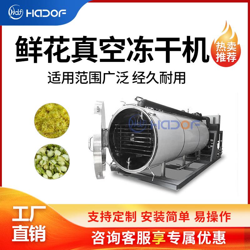 鲜花茶叶大型冻干机柠檬片水果玫瑰花瓣百合草莓智能真空冷冻机