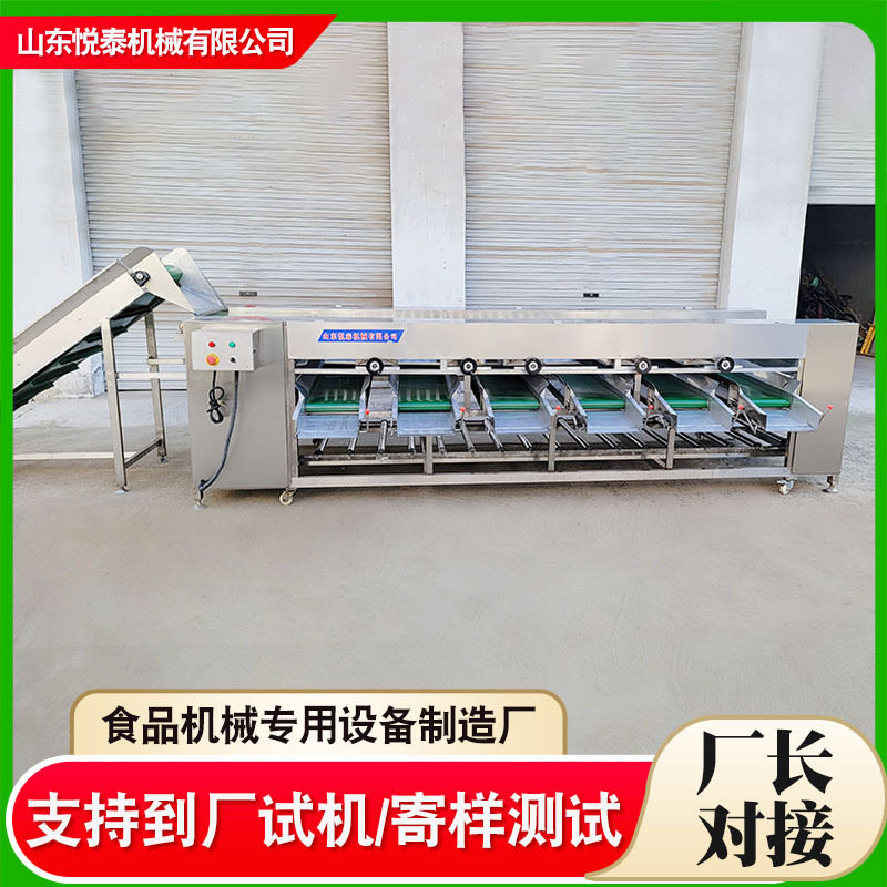全自动果蔬重量分选机商用滚杠式红薯橙子筛选机土豆黄瓜分级机,清洗/食品/商业设备,选果机/分选机,淘宝优惠券,粉丝福利购,淘宝优惠卷