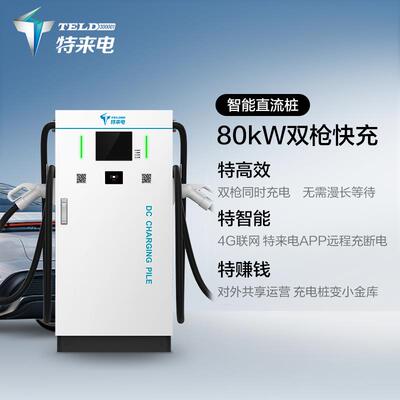 特来电一体式直流充电桩商用快充80kW160kW 运营收费共享园区自用