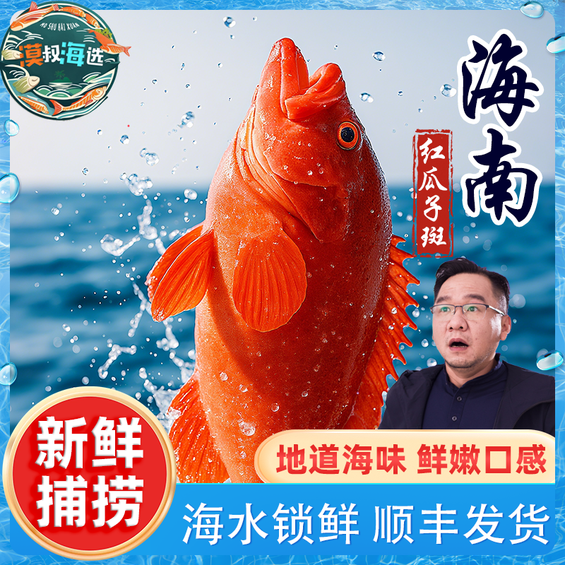 海南南海红九棘鲈红瓜子斑香煎