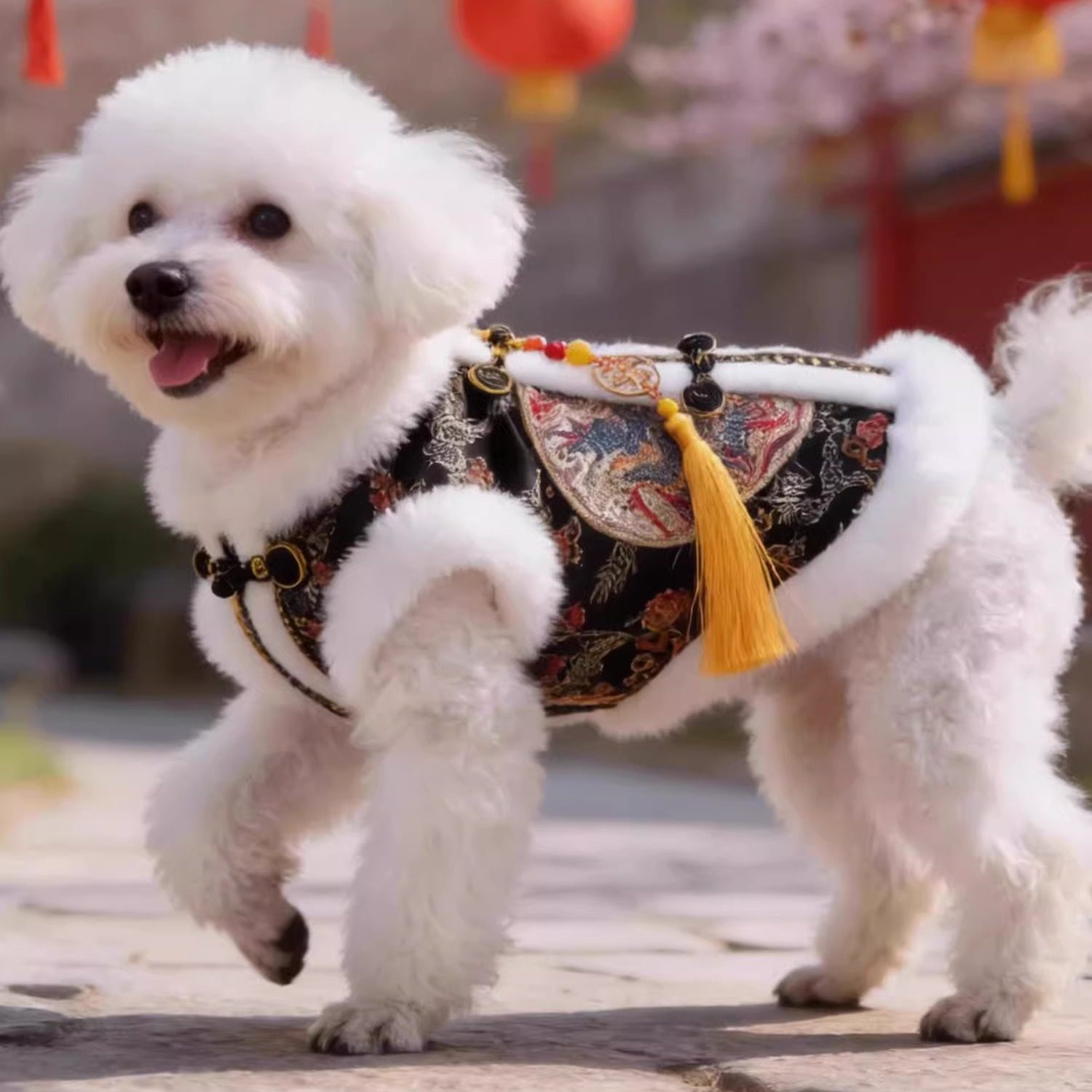 狗狗新年衣服猫咪秋冬季加厚保暖刺绣棉衣春节宠物喜庆唐装套装服,宠物/宠物食品及用品,狗宠物服装/雨衣,淘宝优惠券,粉丝福利购,淘宝优惠卷