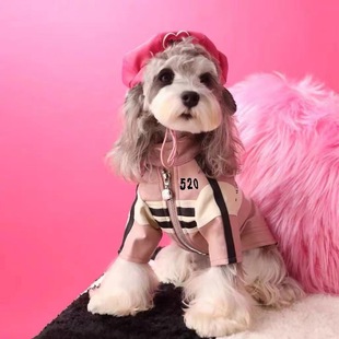 狗狗秋冬衣服外套机车夹克马尔济斯约克夏雪纳瑞比熊泰迪博美柴犬