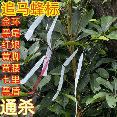 马蜂升级版加白追蜂标神